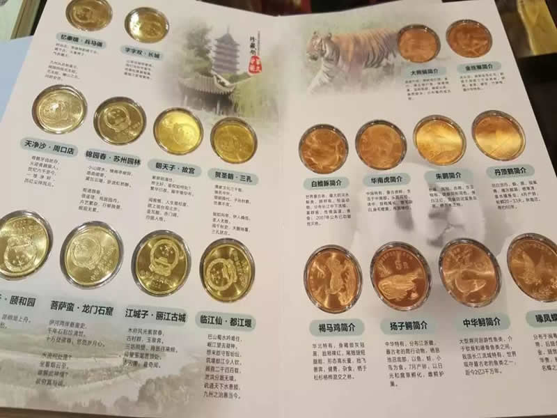 你聽說過房交會(huì)嗎？博覽會(huì)現(xiàn)場精彩集錦，不可錯(cuò)過！